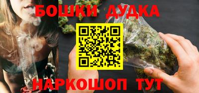 мдпв Будённовск