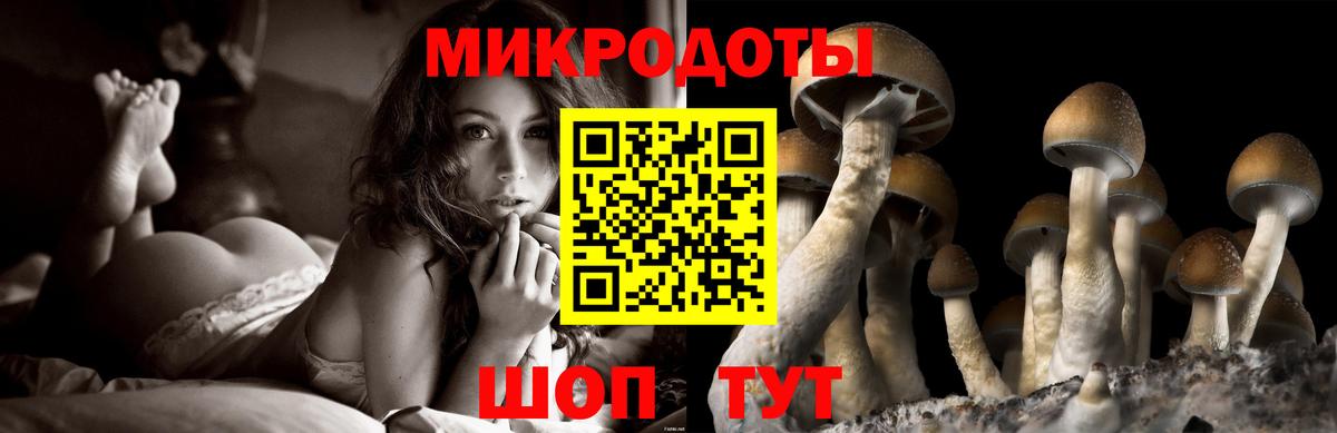Псилоцибиновые грибы Psilocybe  Псилоцибиновые грибы Magic Shrooms  Красногорск  Вход с VPN 